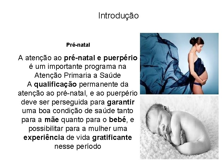  Introdução Pré-natal A atenção ao pré-natal e puerpério é um importante programa na