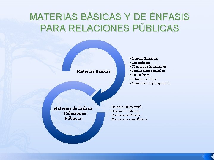 MATERIAS BÁSICAS Y DE ÉNFASIS PARA RELACIONES PÚBLICAS Materias Básicas Materias de Énfasis –