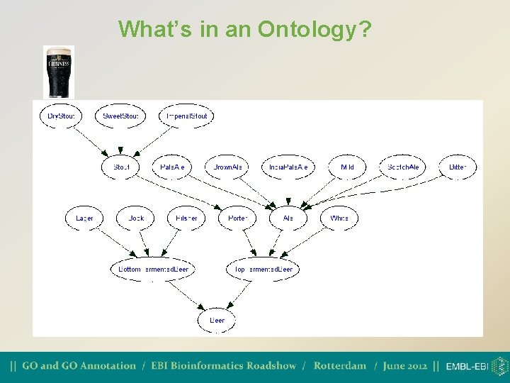 What’s in an Ontology? 