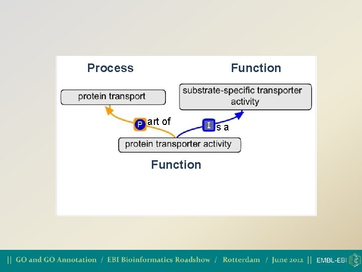 Process Function art of Function sa 