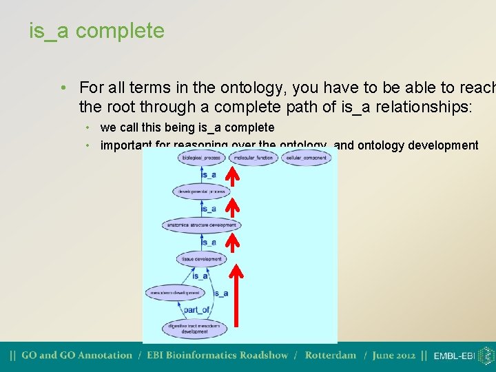 is_a complete • For all terms in the ontology, you have to be able