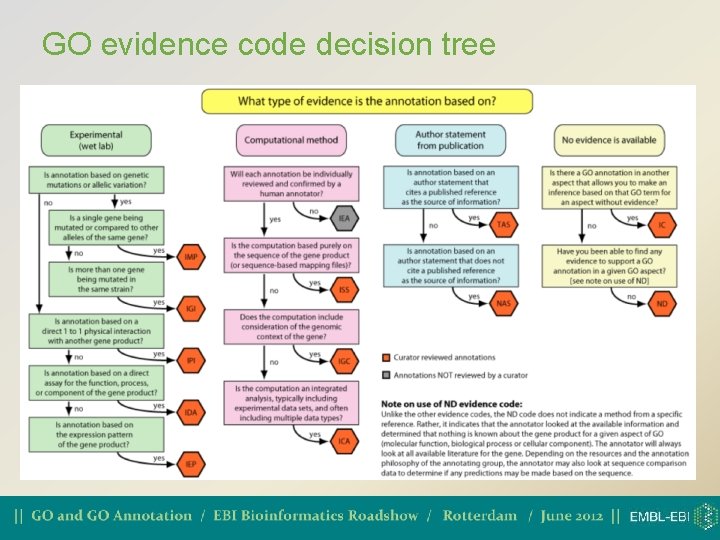 GO evidence code decision tree 