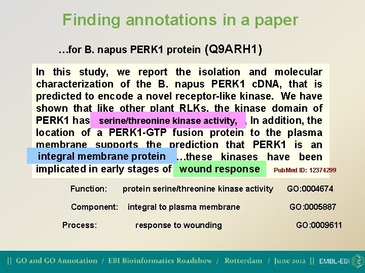 Finding annotations in a paper …for B. napus PERK 1 protein (Q 9 ARH