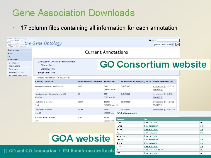 Gene Association Downloads • 17 column files containing all information for each annotation GO