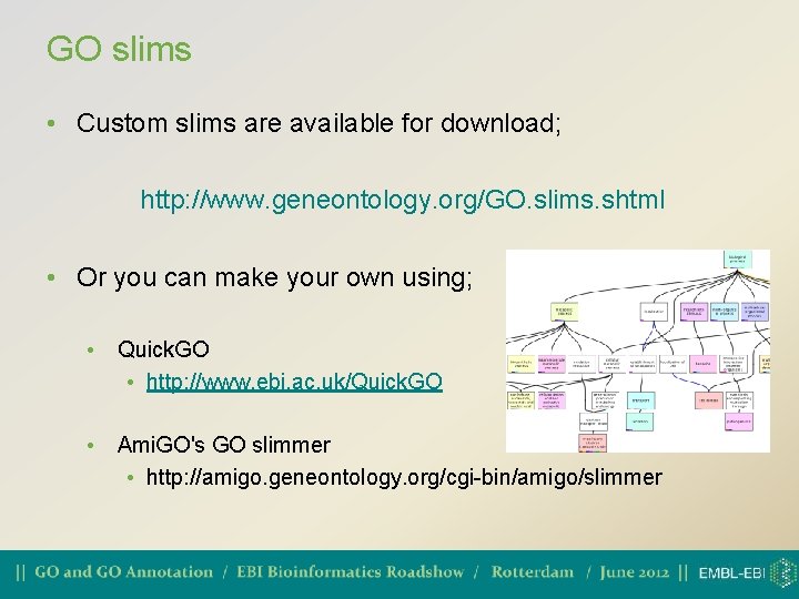 GO slims • Custom slims are available for download; http: //www. geneontology. org/GO. slims.