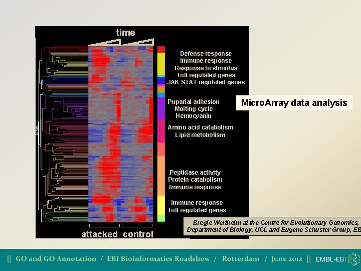 time Defense response Immune response Response to stimulus Toll regulated genes JAK-STAT regulated genes