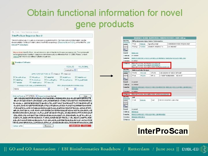 Obtain functional information for novel gene products MPYVSQSQHIDRVRGAIEGRLPAPGNSSRLVSSWQRSYEQYRLDPGSVIGPRVLTS SELR DVQGKEEAFLRASGQCLARLHDMIRMADYCVMLTDAHGVTIDYRIDRDRRGD FKHAGLYI GSCWSEREEGTCGIASVLTDLAPITVHKTDHFRAAFTTLTCSASPIFAPTG ELIGVLDAS AVQSPDNRDSQRLVFQLVRQSAALIEDGYFLNQTAQHWMIFGHASRN