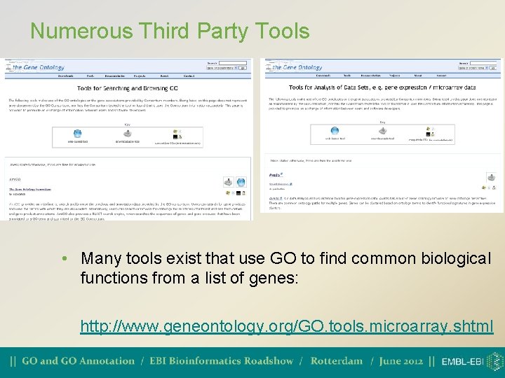 Numerous Third Party Tools • Many tools exist that use GO to find common