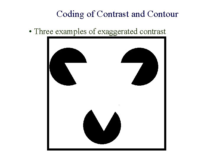 Coding of Contrast and Contour • Three examples of exaggerated contrast 