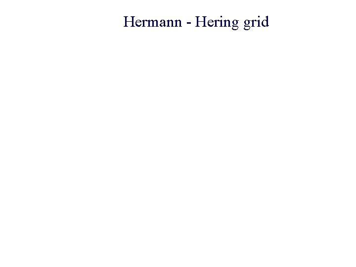 Hermann - Hering grid 