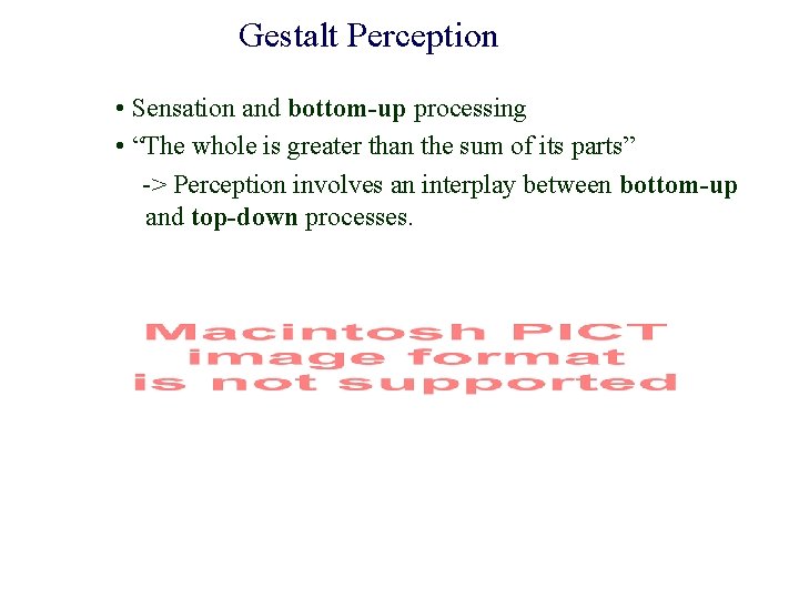 Gestalt Perception • Sensation and bottom-up processing • “The whole is greater than the