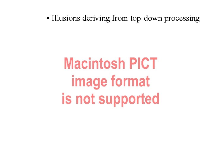  • Illusions deriving from top-down processing 