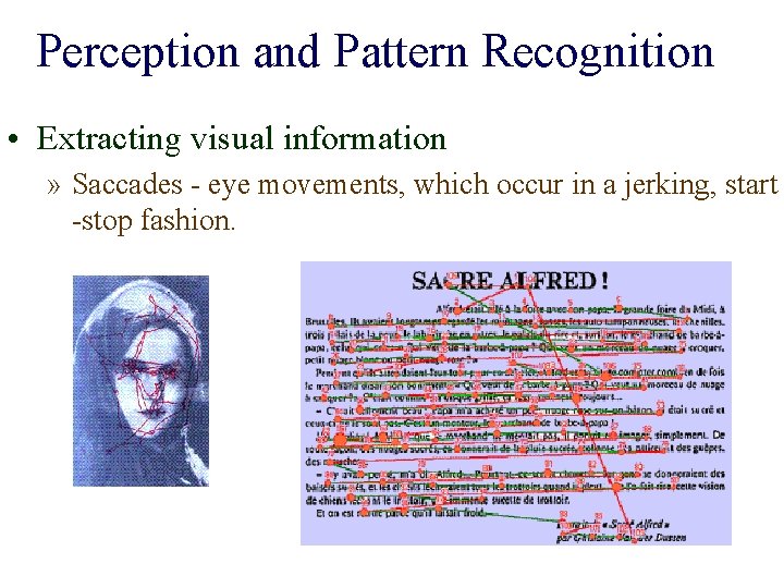 Perception and Pattern Recognition • Extracting visual information » Saccades - eye movements, which