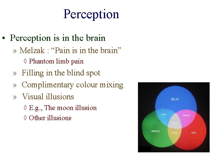 Perception • Perception is in the brain » Melzak : “Pain is in the