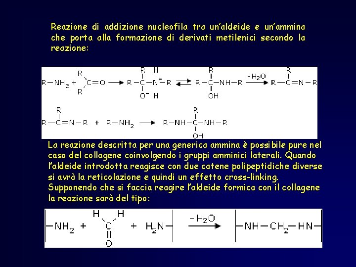 Reazione di addizione nucleofila tra un’aldeide e un’ammina che porta alla formazione di derivati Reazione di addizione nucleofila tra un’aldeide e un’ammina che porta alla formazione di derivati