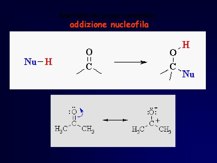 Reattività del gruppo carbonilico: addizione nucleofila Reattività del gruppo carbonilico: addizione nucleofila
