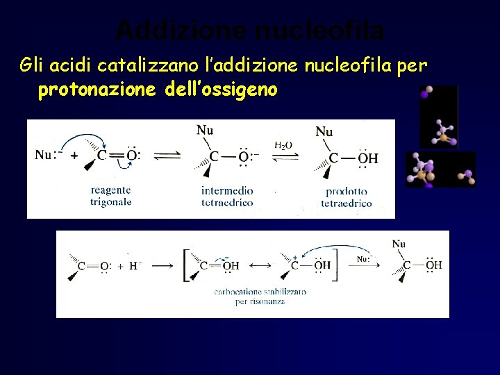 Addizione nucleofila Gli acidi catalizzano l’addizione nucleofila per protonazione dell’ossigeno Addizione nucleofila Gli acidi catalizzano l’addizione nucleofila per protonazione dell’ossigeno