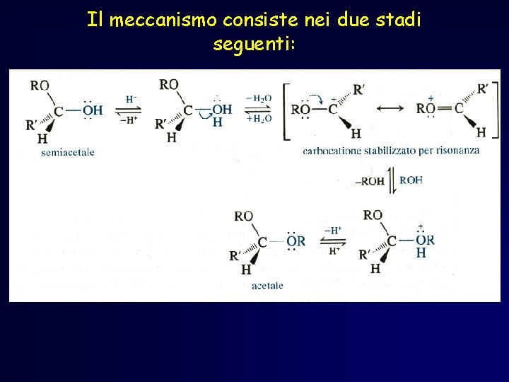 Il meccanismo consiste nei due stadi seguenti: Il meccanismo consiste nei due stadi seguenti: