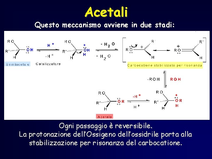 Acetali Questo meccanismo avviene in due stadi: Ogni passaggio è reversibile. La protonazione dell’Ossigeno Acetali Questo meccanismo avviene in due stadi: Ogni passaggio è reversibile. La protonazione dell’Ossigeno