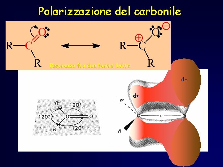 Polarizzazione del carbonile Risonanza fra due forme limite dd+ Polarizzazione del carbonile Risonanza fra due forme limite dd+