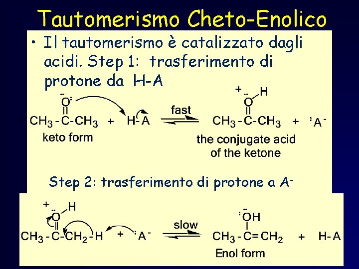 Tautomerismo Cheto-Enolico • Il tautomerismo è catalizzato dagli acidi. Step 1: trasferimento di protone Tautomerismo Cheto-Enolico • Il tautomerismo è catalizzato dagli acidi. Step 1: trasferimento di protone