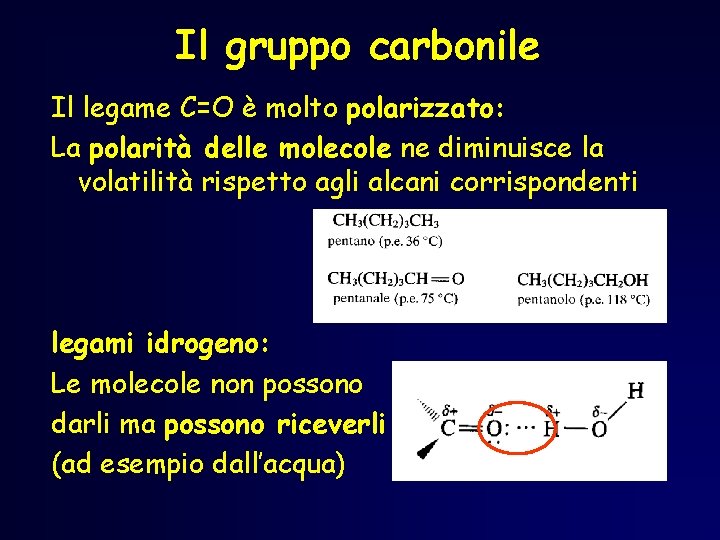 Il gruppo carbonile Il legame C=O è molto polarizzato: La polarità delle molecole ne Il gruppo carbonile Il legame C=O è molto polarizzato: La polarità delle molecole ne