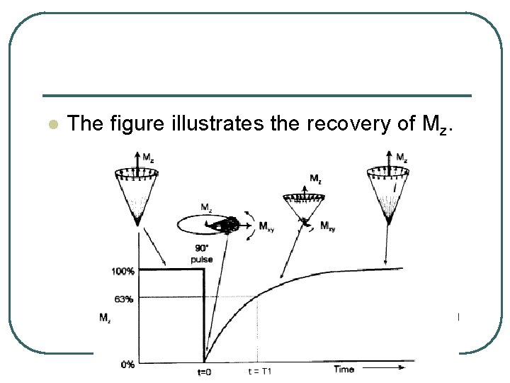 l The figure illustrates the recovery of Mz. 