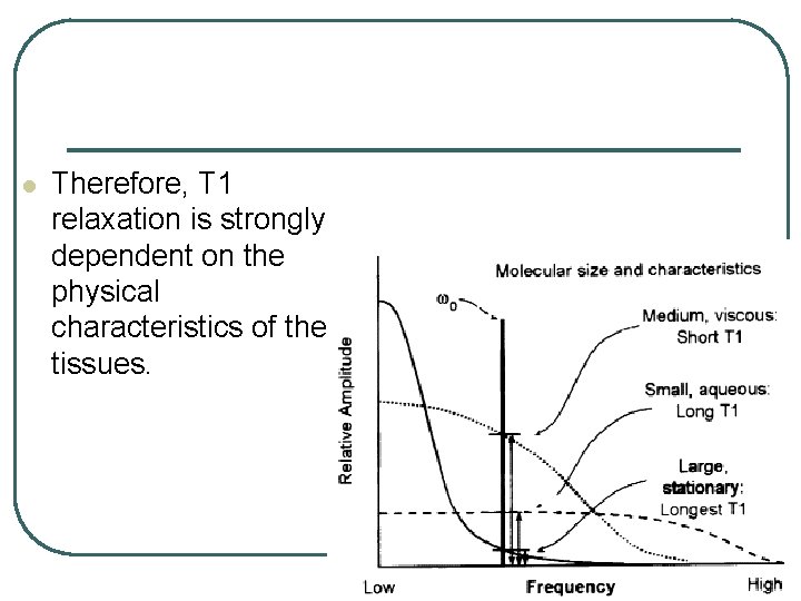 l Therefore, T 1 relaxation is strongly dependent on the physical characteristics of the