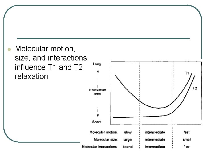 l Molecular motion, size, and interactions influence T 1 and T 2 relaxation. 