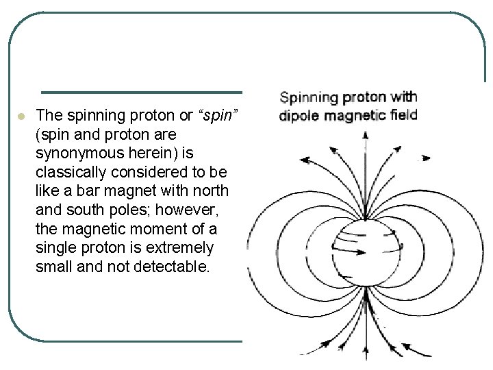 l The spinning proton or “spin” (spin and proton are synonymous herein) is classically