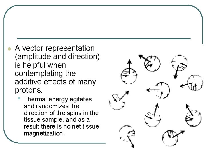 l A vector representation (amplitude and direction) is helpful when contemplating the additive effects