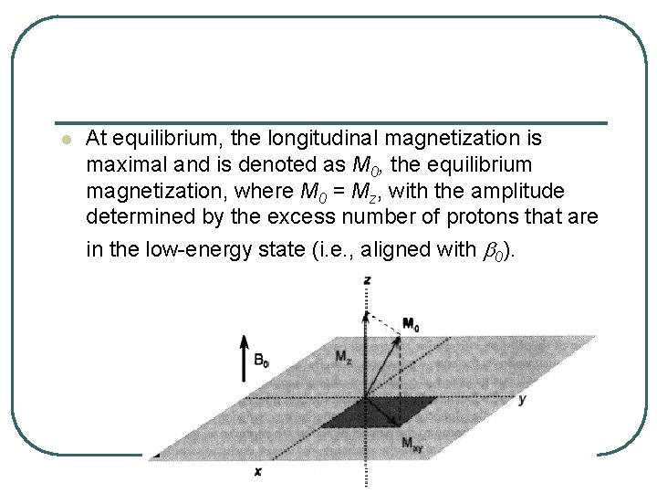 l At equilibrium, the longitudinal magnetization is maximal and is denoted as M 0,