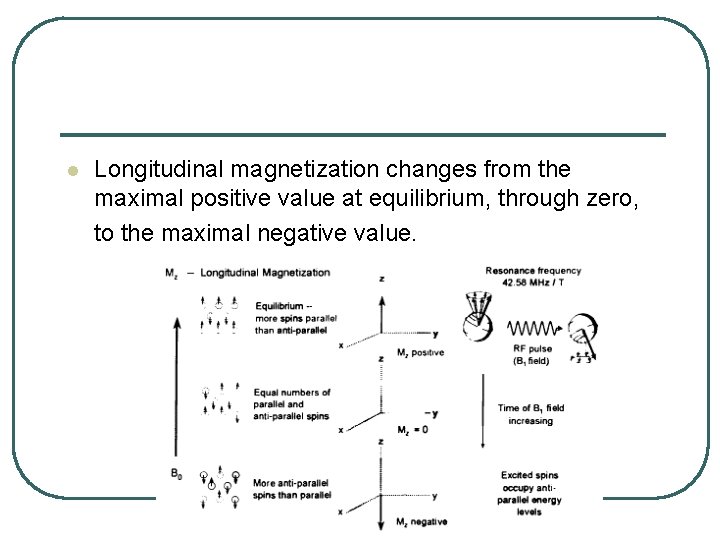 l Longitudinal magnetization changes from the maximal positive value at equilibrium, through zero, to