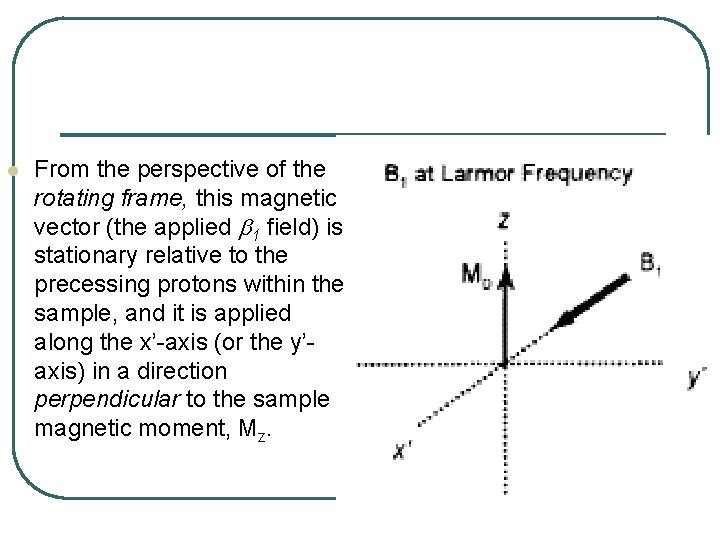 l From the perspective of the rotating frame, this magnetic vector (the applied b