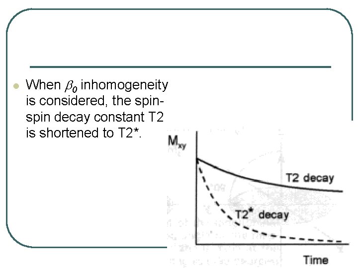 l When b 0 inhomogeneity is considered, the spin decay constant T 2 is