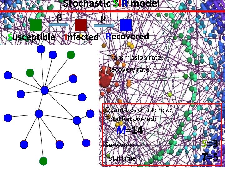 Stochastic SIR model β μ Susceptible Infected Recovered Transmission rate: Recovery rate: Quantities of