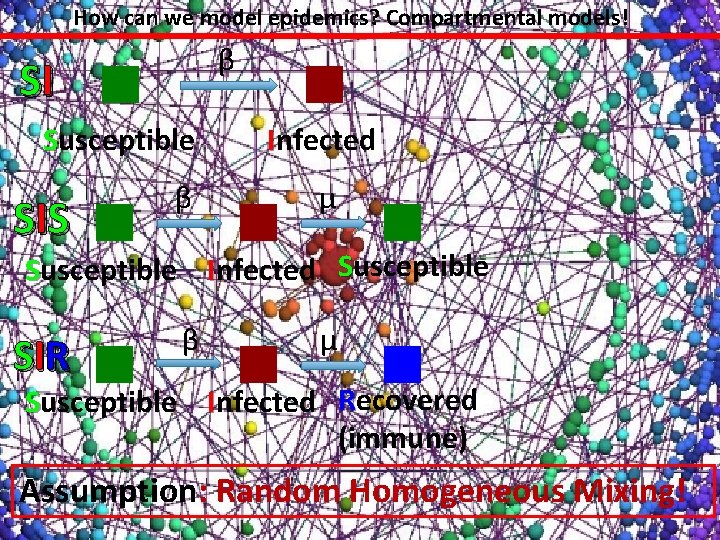 How can we model epidemics? Compartmental models! β SI Susceptible SIS β SIR β