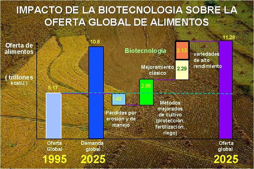 IMPACTO DE LA BIOTECNOLOGIA SOBRE LA OFERTA GLOBAL DE ALIMENTOS 11. 28 10. 6