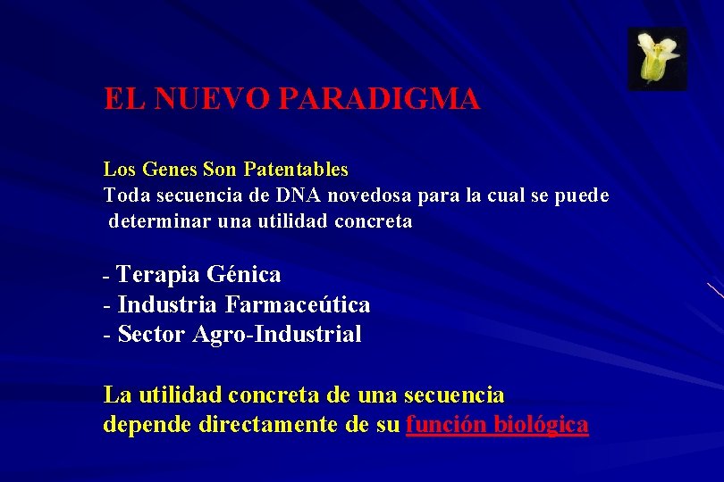 EL NUEVO PARADIGMA Los Genes Son Patentables Toda secuencia de DNA novedosa para la