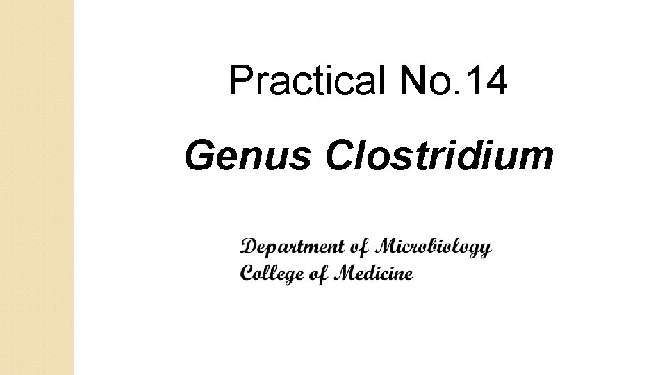 Practical No. 14 Genus Clostridium 