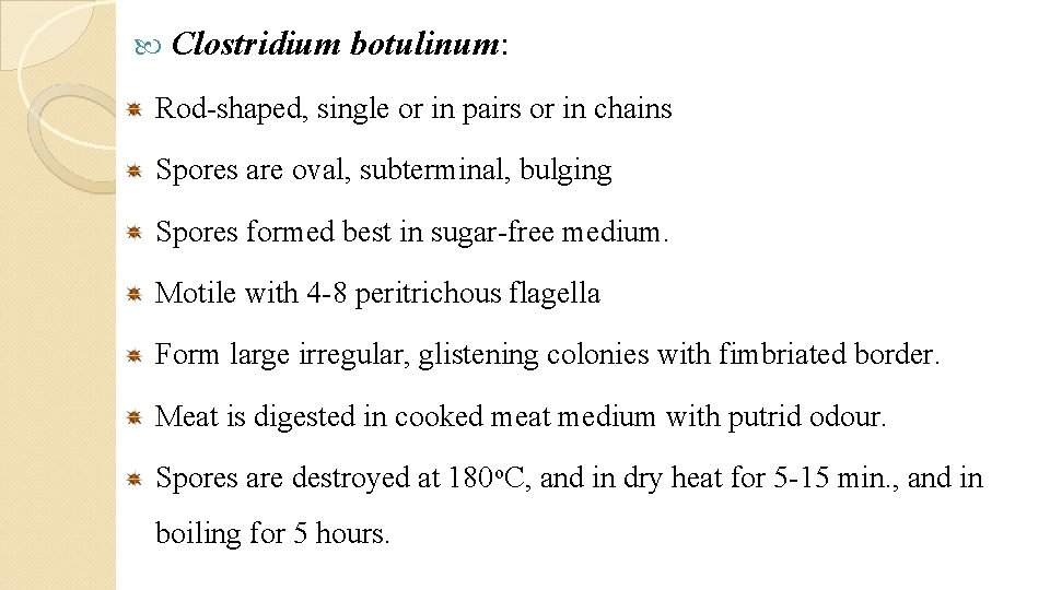  Clostridium botulinum: Rod-shaped, single or in pairs or in chains Spores are oval,