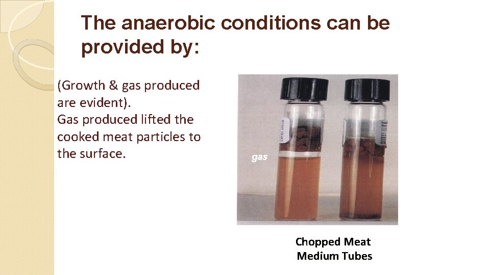 The anaerobic conditions can be provided by: (Growth & gas produced are evident). Gas