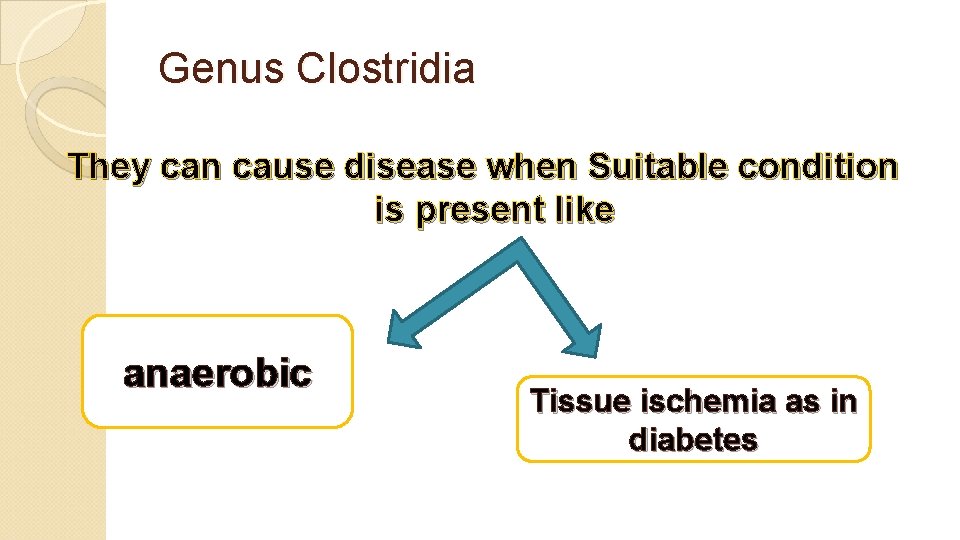 Genus Clostridia They can cause disease when Suitable condition is present like anaerobic Tissue