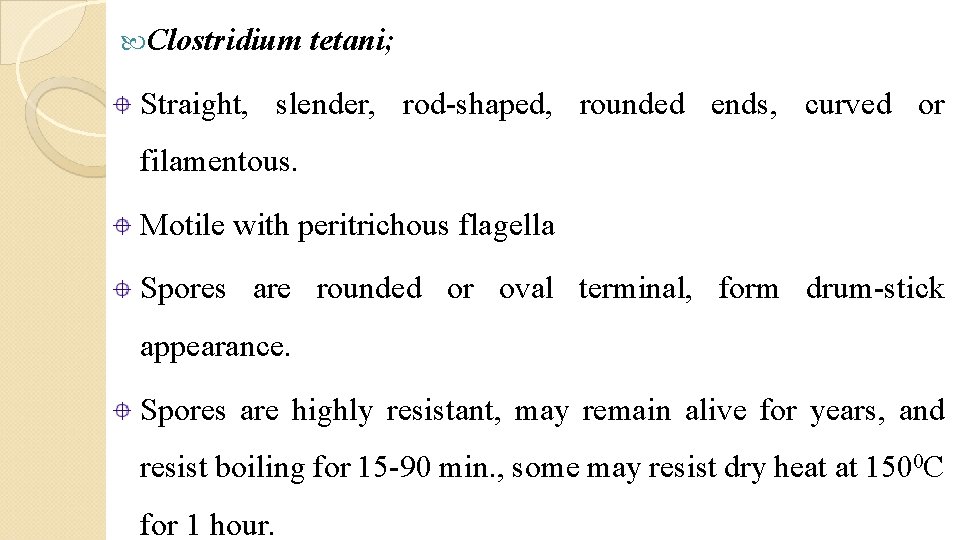  Clostridium tetani; Straight, slender, rod-shaped, rounded ends, curved or filamentous. Motile with peritrichous