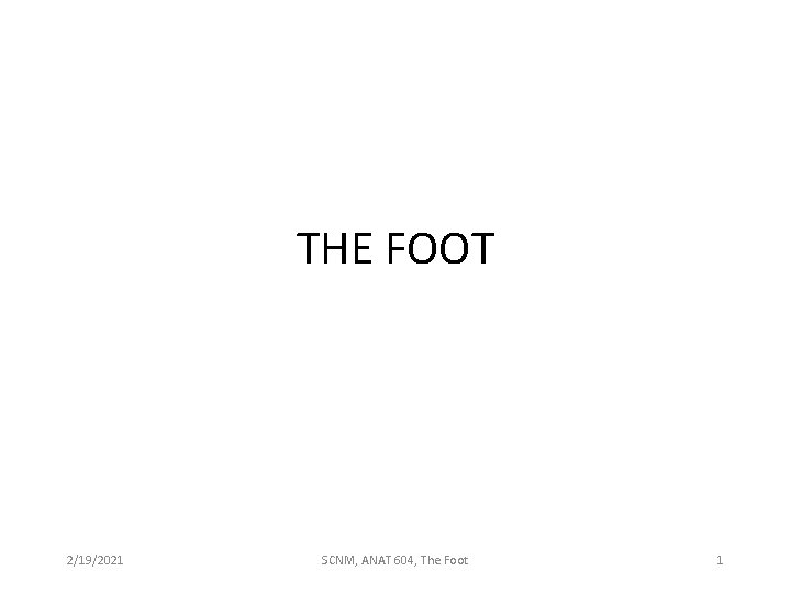 THE FOOT 2/19/2021 SCNM, ANAT 604, The Foot 1 