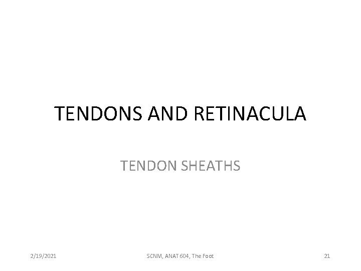 TENDONS AND RETINACULA TENDON SHEATHS 2/19/2021 SCNM, ANAT 604, The Foot 21 