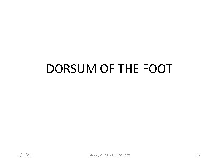 DORSUM OF THE FOOT 2/19/2021 SCNM, ANAT 604, The Foot 27 