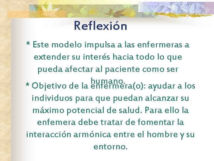 Reflexión * Este modelo impulsa a las enfermeras a extender su interés hacia todo