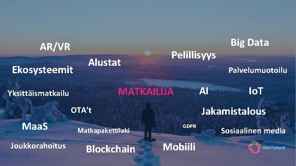 AR/VR Ekosysteemit Alustat Pelillisyys Palvelumuotoilu AI MATKAILIJA Yksittäismatkailu Joukkorahoitus Matkapakettilaki Blockchain Io. T Jakamistalous