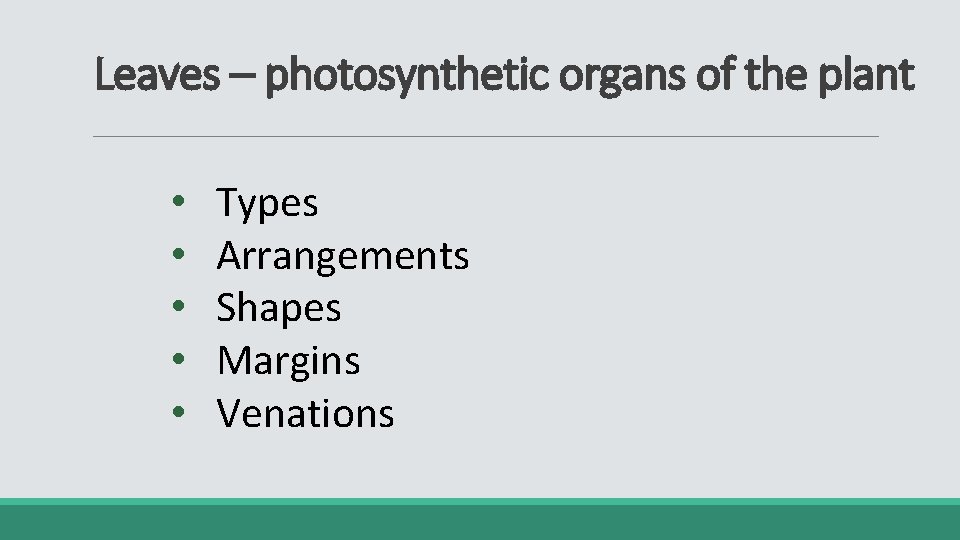 Leaves – photosynthetic organs of the plant • • • Types Arrangements Shapes Margins